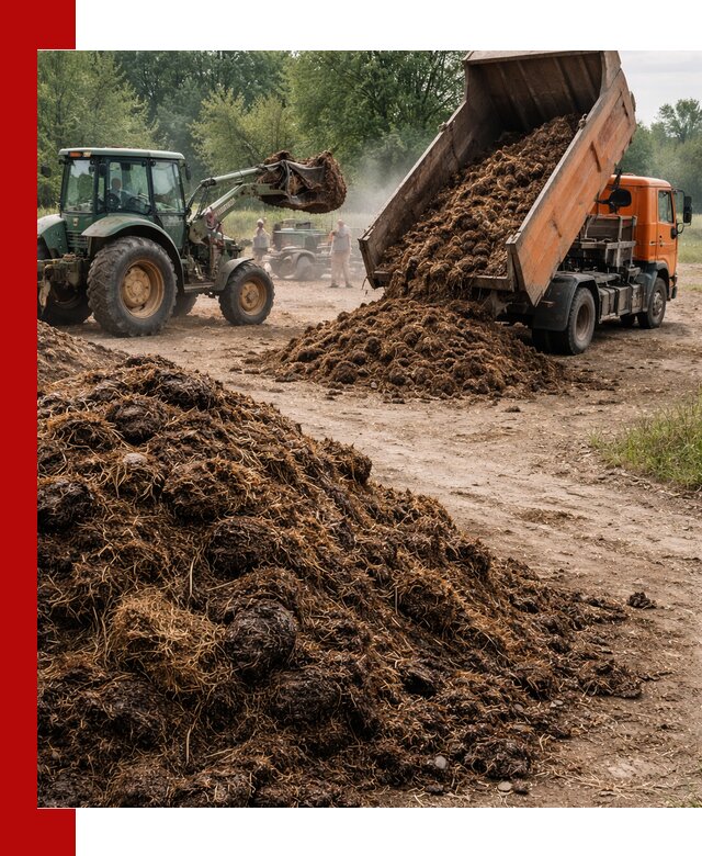 Доставка навоза самосвалами в Сибае для сельхозпотребностей